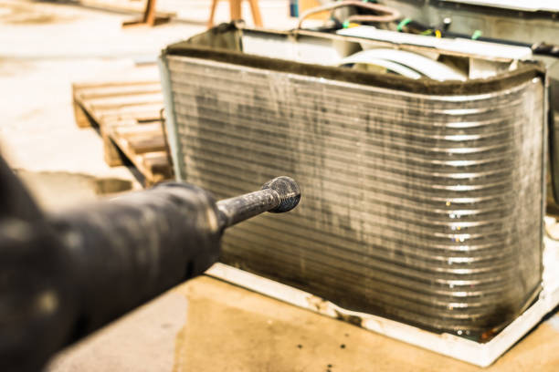 Best Air Duct Mold Removal  in Elkland, PA